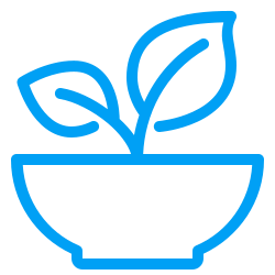 Startseite NEU icons8 gesund 250