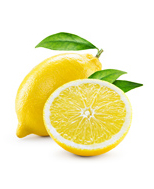 Startseite NEU Citrus