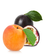 Startseite NEU Marakuja Aprikose