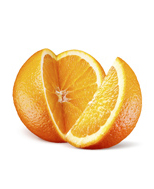 Startseite NEU Orange